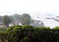 徐州八卦徐州新沂：历史与运河文化辉映下的窖湾古镇