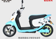 雅迪熊猫电动车,时尚外观与卓越性能的完美融合