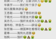 从年头到年尾娱乐圈吃瓜总结,从年初到年尾的精彩瞬间