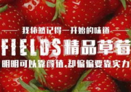 草莓君娱乐,揭秘网红明星背后的娱乐帝国