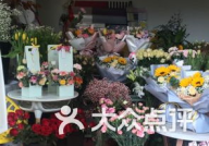 宁波鲜花,繁花似锦，浪漫之城的花韵画卷