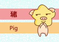 属猪人出生月的命运,运势起伏与性格特点全解析