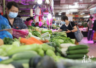 广州海珠区吃瓜影视娱乐,吃瓜观影两不误