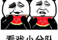吃瓜娱乐酱有点意思,趣味横生的网络娱乐现象解析