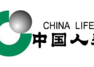 中国人寿,引领寿险行业，构建和谐共生金融生态